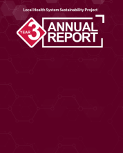 Screen shot of report cover